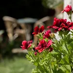 Bed and Breakfast Donna Fausta Agerola