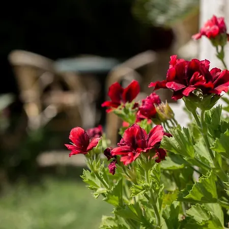 Bed & Breakfast Donna Fausta Agerola